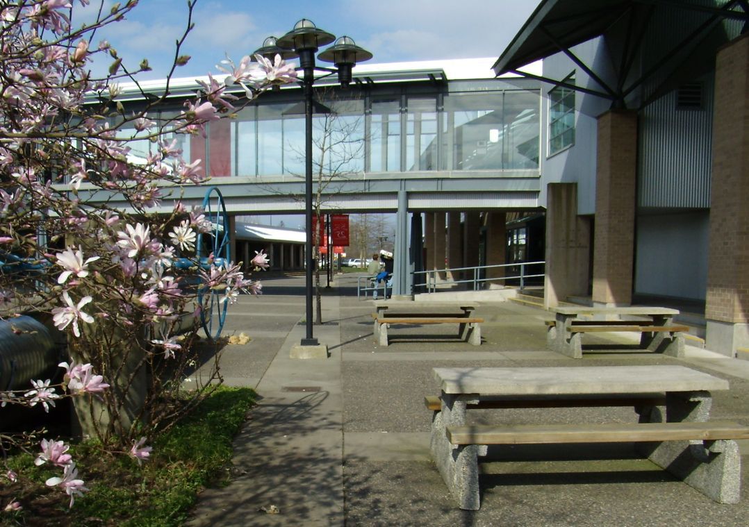 Trường Northern Lights College